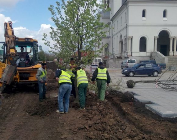 Amenajare spatiu verde Catedrala Voluntari