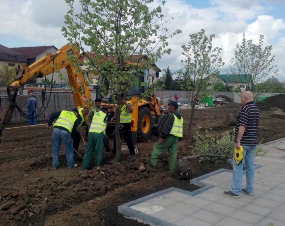 Amenajare spatiu verde Catedrala Voluntari