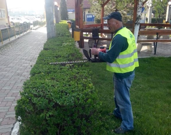 Lucrari intretinere spatiu verde Parc Primaria Voluntari