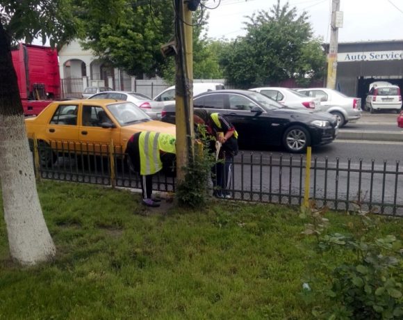 Lucrari intretinere spatiu verde Parc Primaria Voluntari